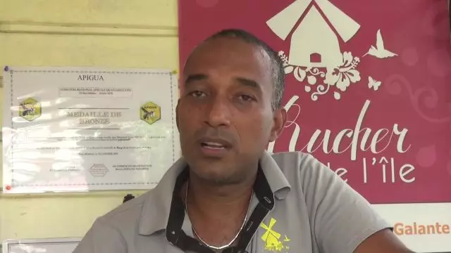 Chroniques de la Ruche : à la découverte du Miel de Marie Galante