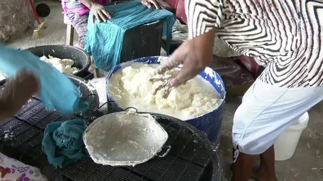 Fabrication de la farine manioc de A à Z Capesterre M/gte