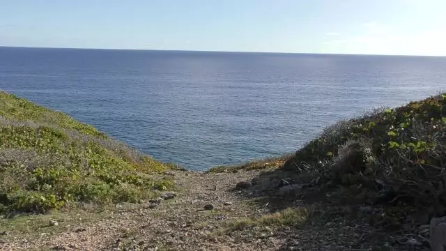 Randonnée nature : la découverte des falaises de Marie Galante et de la forêt xerophile