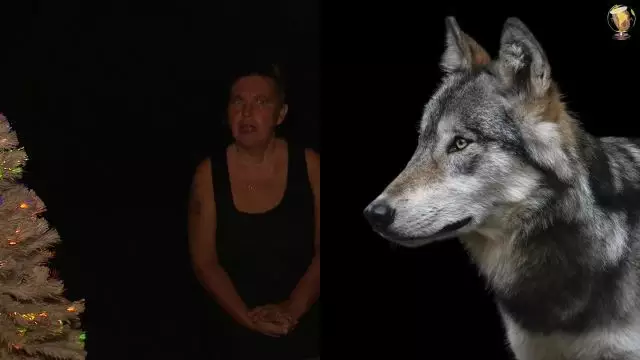 Les Contes de l'Avent - J- 22 un conte indien : Les deux Loups