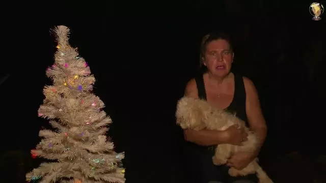 J-19 La star du conte de ce soir en Images c'est Mirliton le petit chien des rues