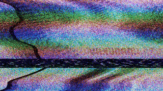 Chroniques de la Ruche : La naissance de la Rein